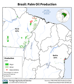 images\BR\cropprod\Brazil_Palm Oil_preview.png